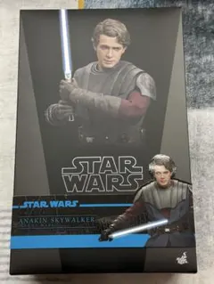 2026年最新】ホットトイズ アナキン・スカイウォーカーの人気アイテム