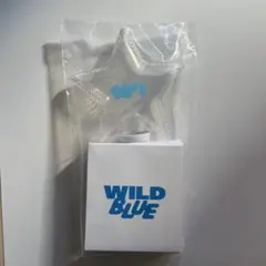 2026年最新】WILDBLUE ペンライトの人気アイテム - メルカリ