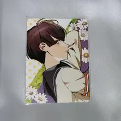 2026年最新】春風 マルシェの人気アイテム - メルカリ