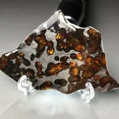 2026年最新】パラサイト隕石の人気アイテム - メルカリ