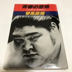 2026年最新】琴風豪規の人気アイテム - メルカリ