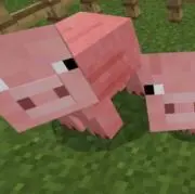 IJLカード kznk 最優秀演繹選手賞 複数サイン1桁 ZETA - メルカリ