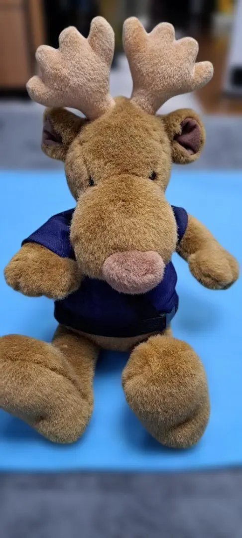 2026年最新】VOLVOトナカイの人気アイテム - メルカリ