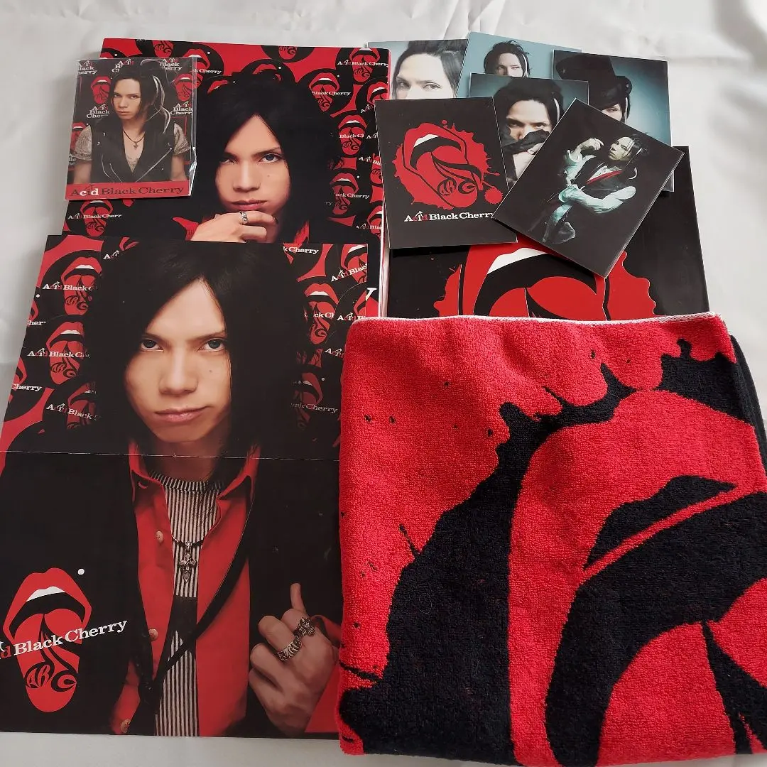 2026年最新】acid black cherry トラベルの人気アイテム - メルカリ