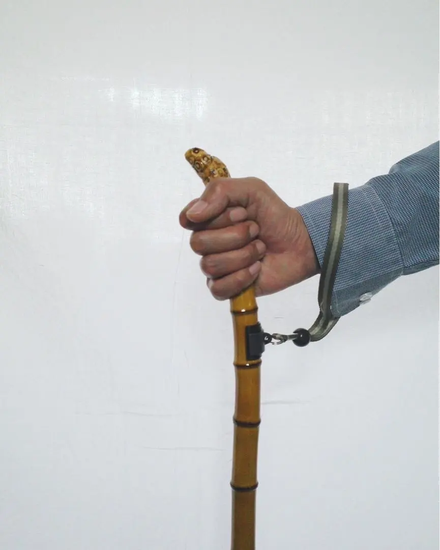 2026年最新】竹杖の人気アイテム - メルカリ