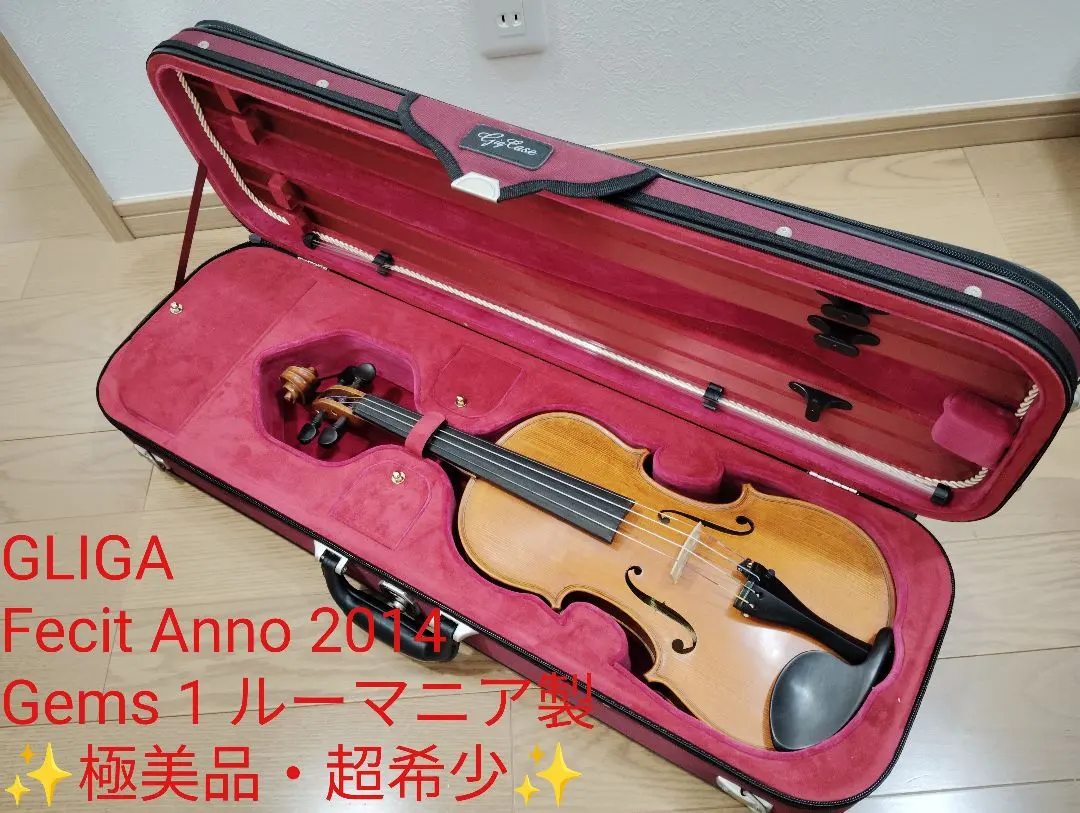 2026年最新】GLIGA バイオリン 4/4の人気アイテム - メルカリ