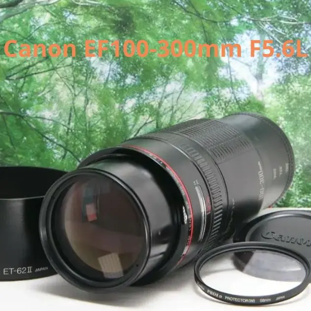 2026年最新】EF 100-300mm F5.6 Lの人気アイテム - メルカリ