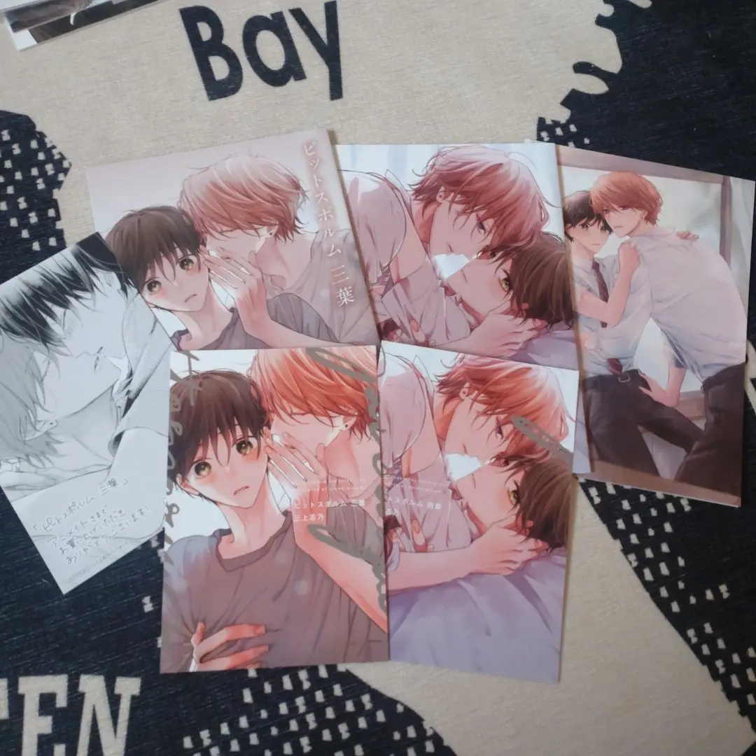 2026年最新】ピットスポルムリーフレットの人気アイテム - メルカリ