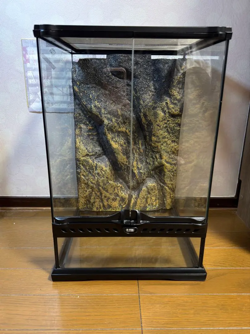 2026年最新】グラステラリウム バックボードの人気アイテム - メルカリ