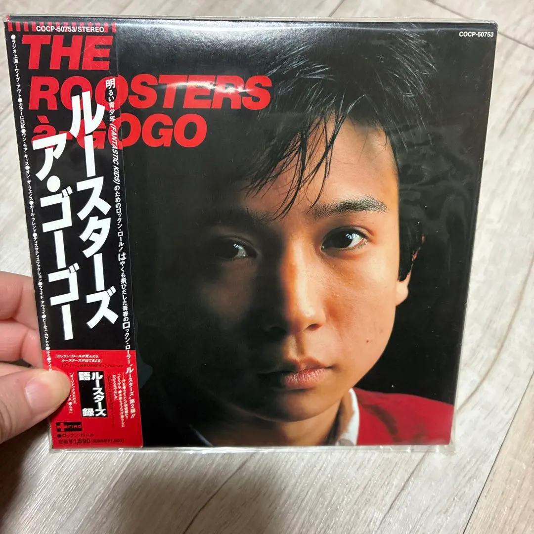 2026年最新】the roosters レコードの人気アイテム - メルカリ