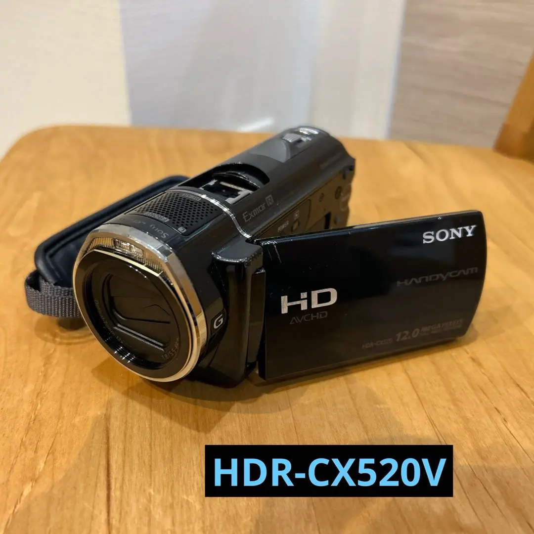 2026年最新】HDR-CX520Vの人気アイテム - メルカリ
