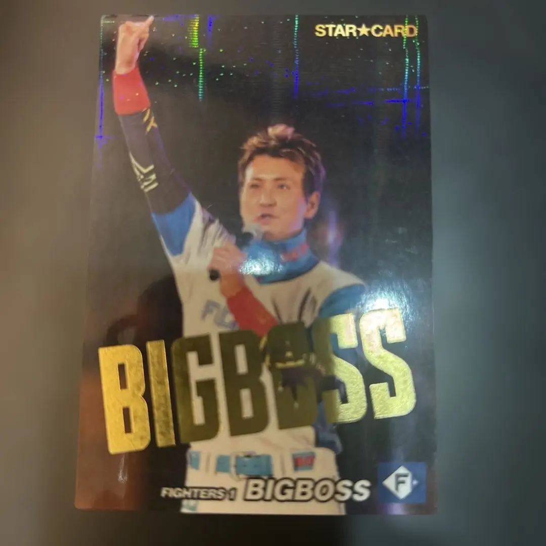 2026年最新】ビッグボス プロ野球チップスの人気アイテム - メルカリ