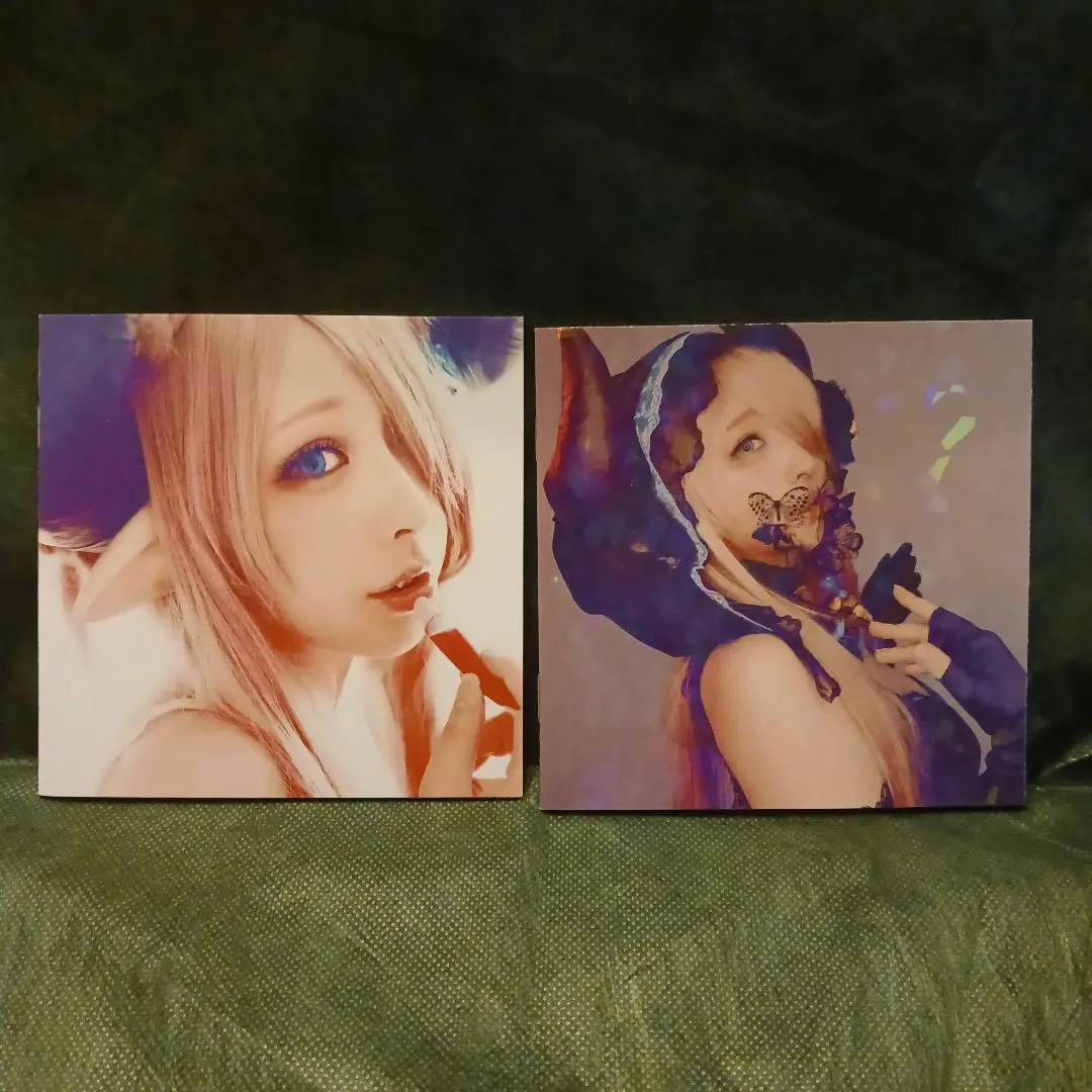 2026年最新】みぃこ 写真集の人気アイテム - メルカリ