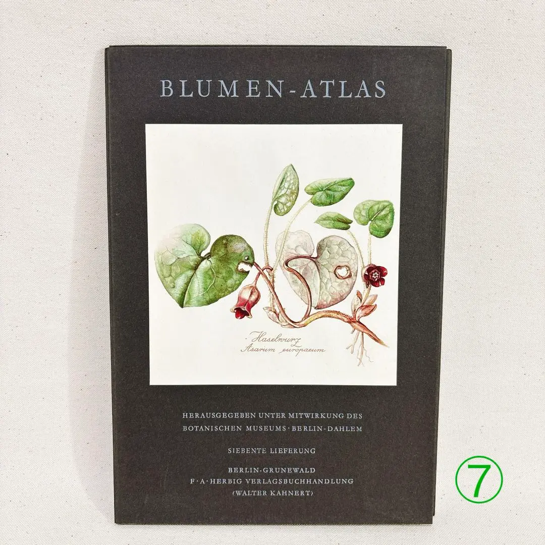 2026年最新】elsa felskoの人気アイテム - メルカリ