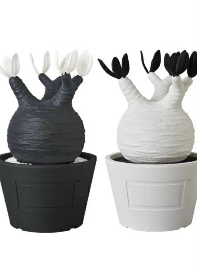 2026年最新】medicom toy botanizeの人気アイテム - メルカリ