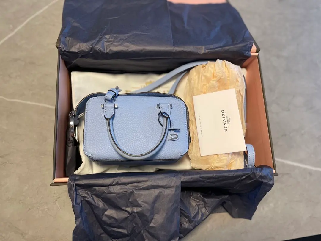 2026年最新】delvaux クールボックスナノの人気アイテム - メルカリ