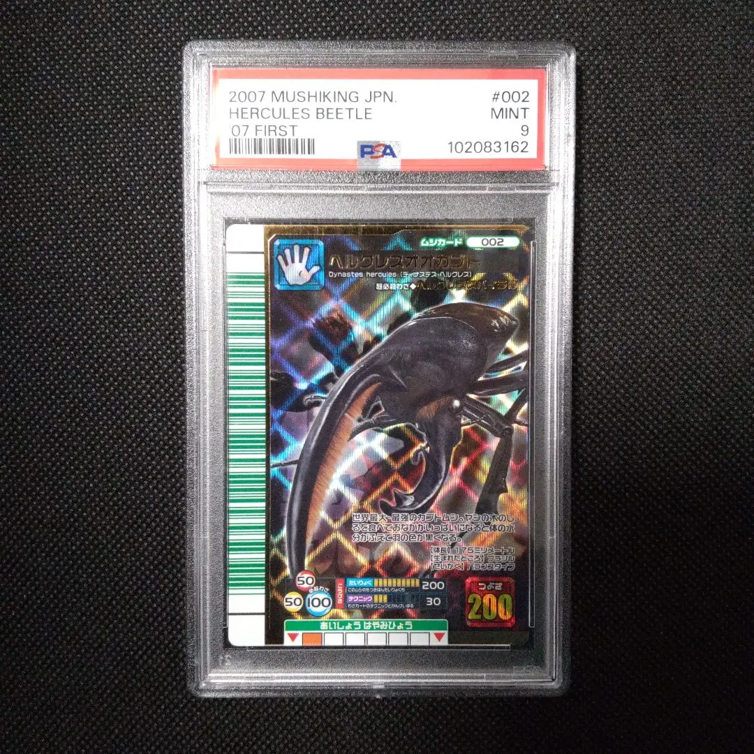 2026年最新】ヘルクレスオオカブト 2007の人気アイテム - メルカリ