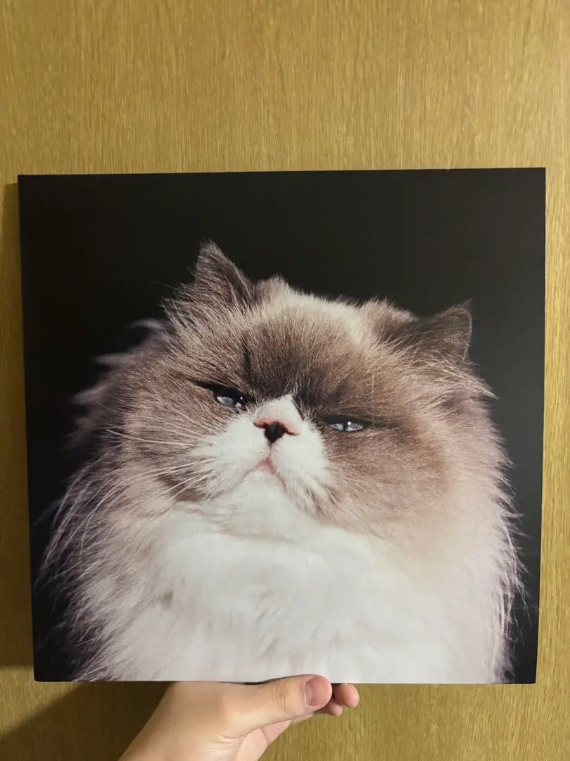 2026年最新】カネコアヤノ 燦々 レコードの人気アイテム - メルカリ