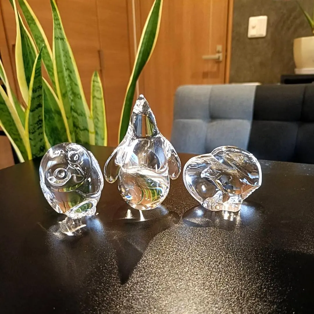 2026年最新】steuben glassの人気アイテム - メルカリ