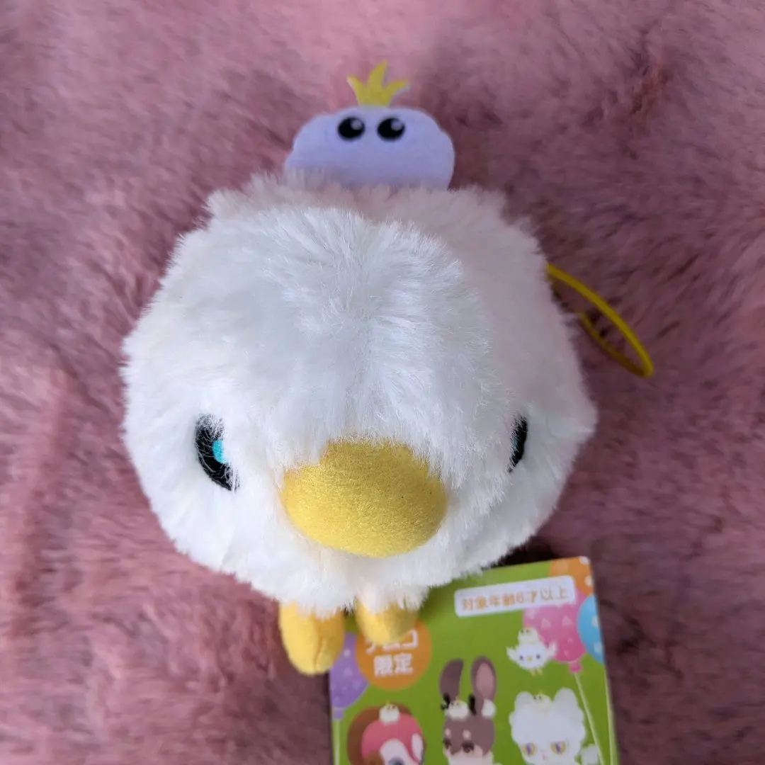 2026年最新】ケマリ リヴリーの人気アイテム - メルカリ