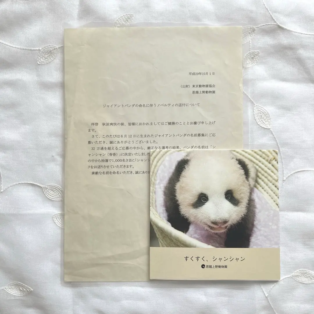 2026年最新】シャンシャン 写真集の人気アイテム - メルカリ