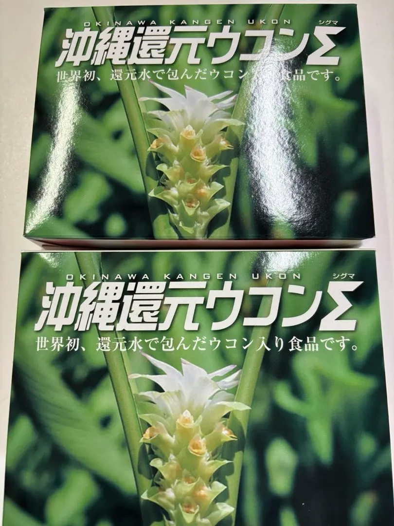2026年最新】沖縄還元ウコンの人気アイテム - メルカリ