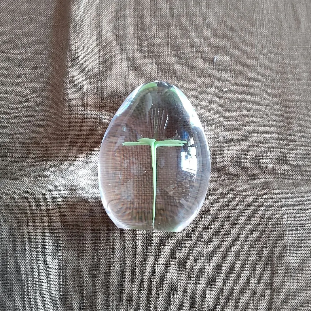 2026年最新】イイノナホの人気アイテム - メルカリ