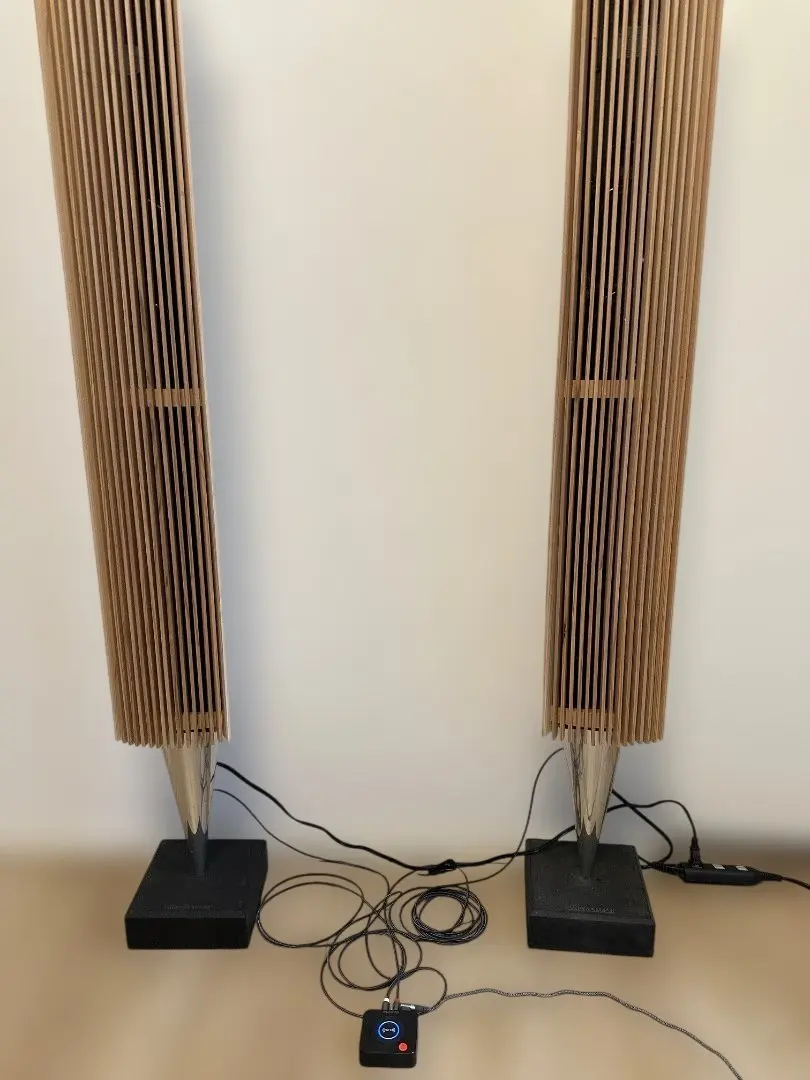 2026年最新】beolab 8000の人気アイテム - メルカリ