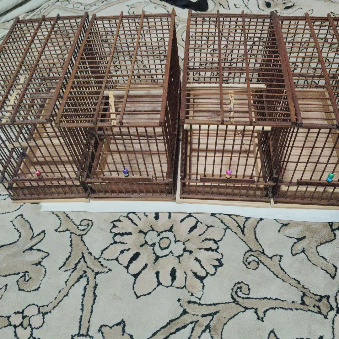 2026年最新】鳥用品 メジロ籠 めじろ籠 鳥籠の人気アイテム - メルカリ