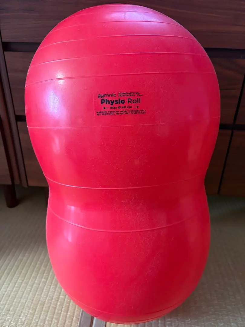 2026年最新】フィジオロールの人気アイテム - メルカリ