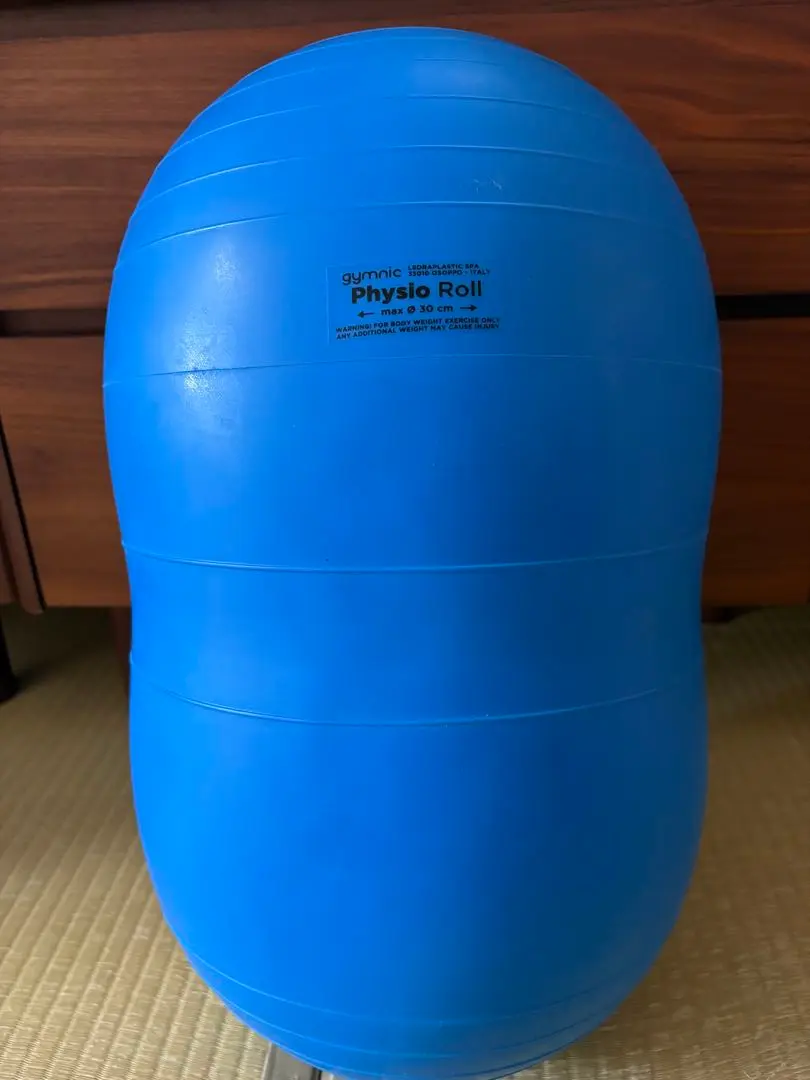 2026年最新】フィジオロールの人気アイテム - メルカリ