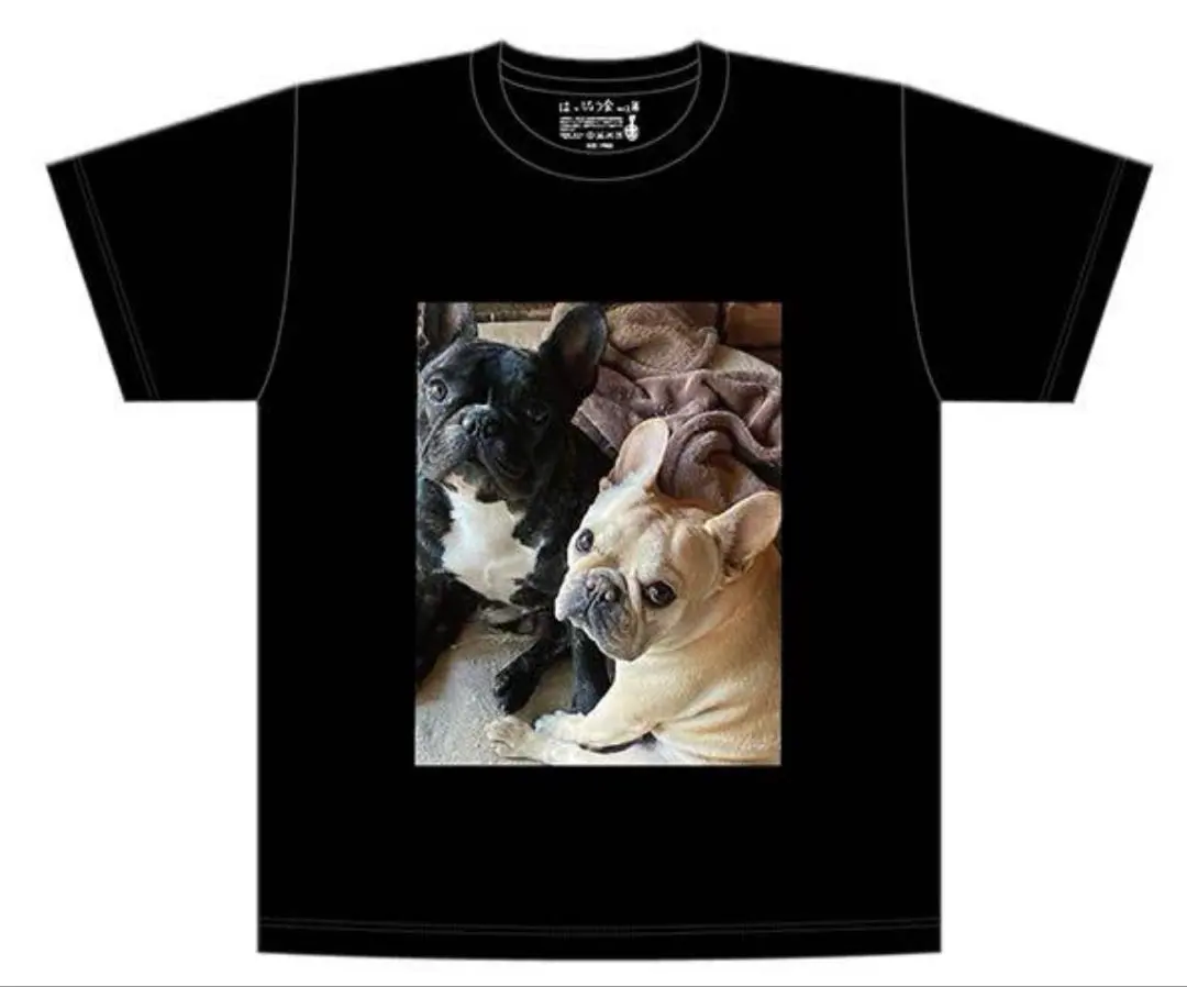 2026年最新】草彅剛はっぴょう会の人気アイテム - メルカリ