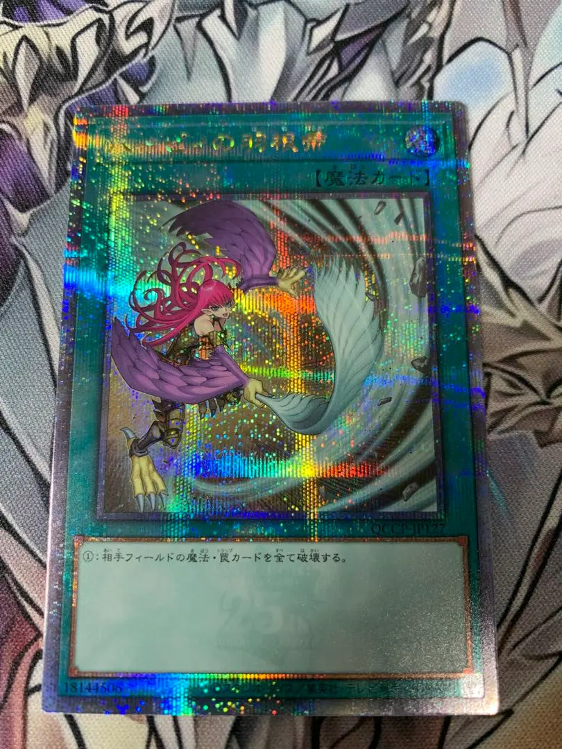 2026年最新】ハーピィの羽根帚 25thの人気アイテム - メルカリ