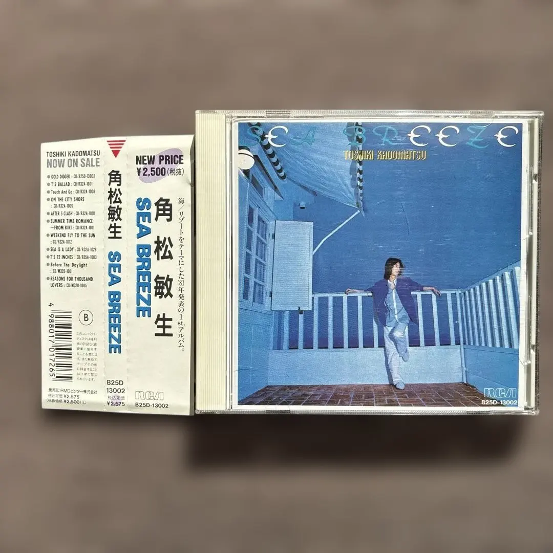 2026年最新】角松敏生 sea breezeの人気アイテム - メルカリ