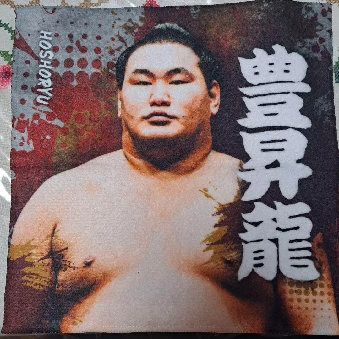 2026年最新】豊昇龍 タオルの人気アイテム - メルカリ