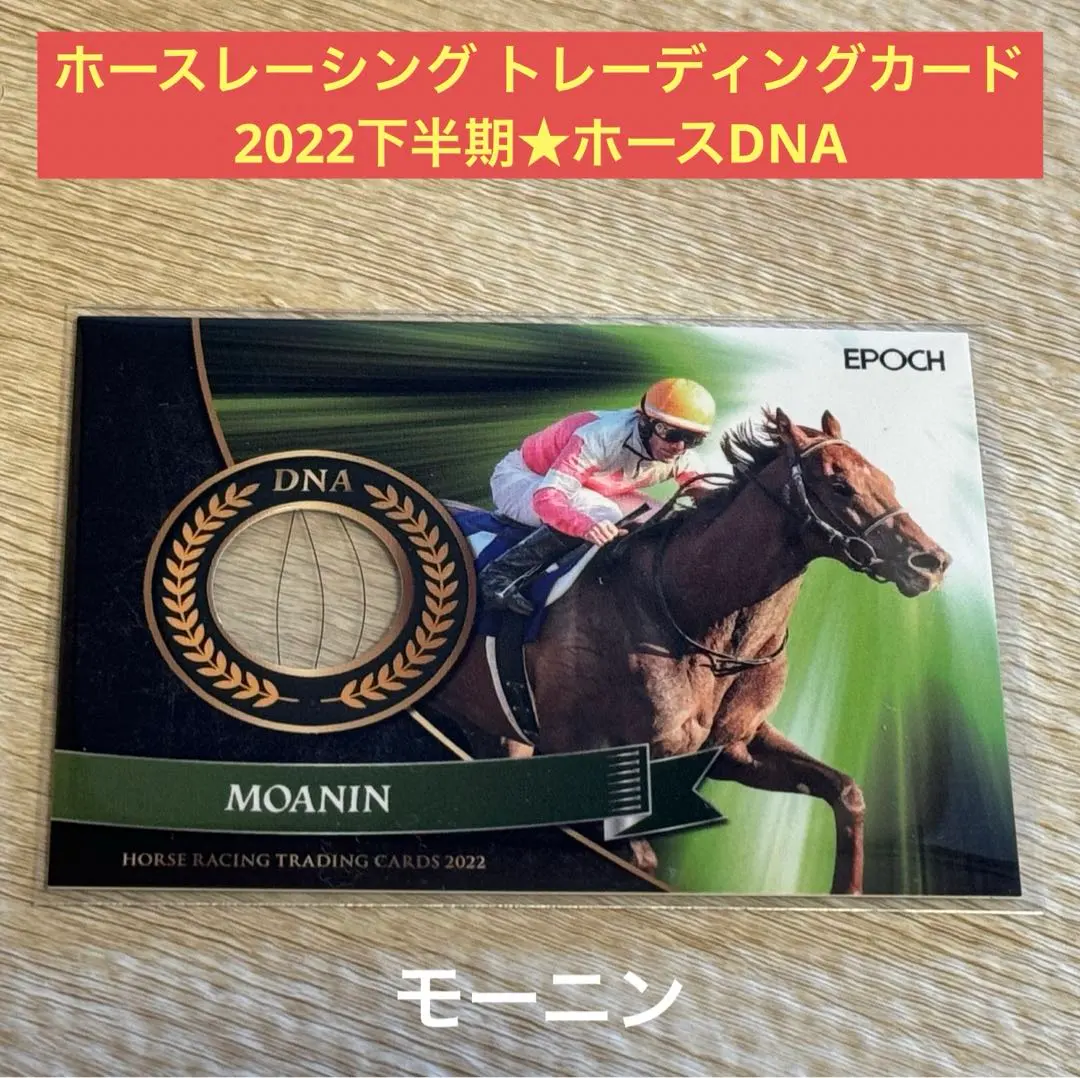 2026年最新】ホースレーシング dnaの人気アイテム - メルカリ