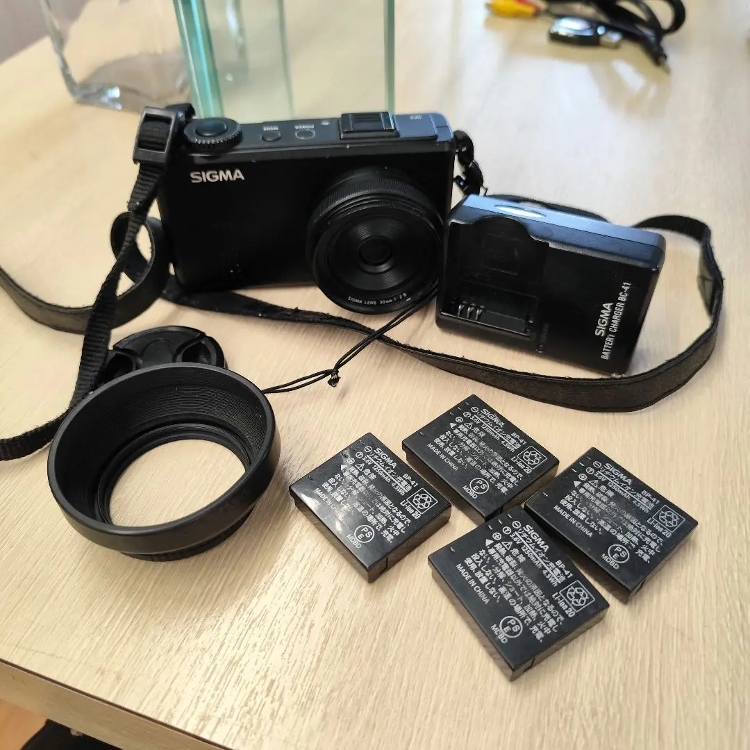 2026年最新】Sigma DP2 merrillの人気アイテム - メルカリ