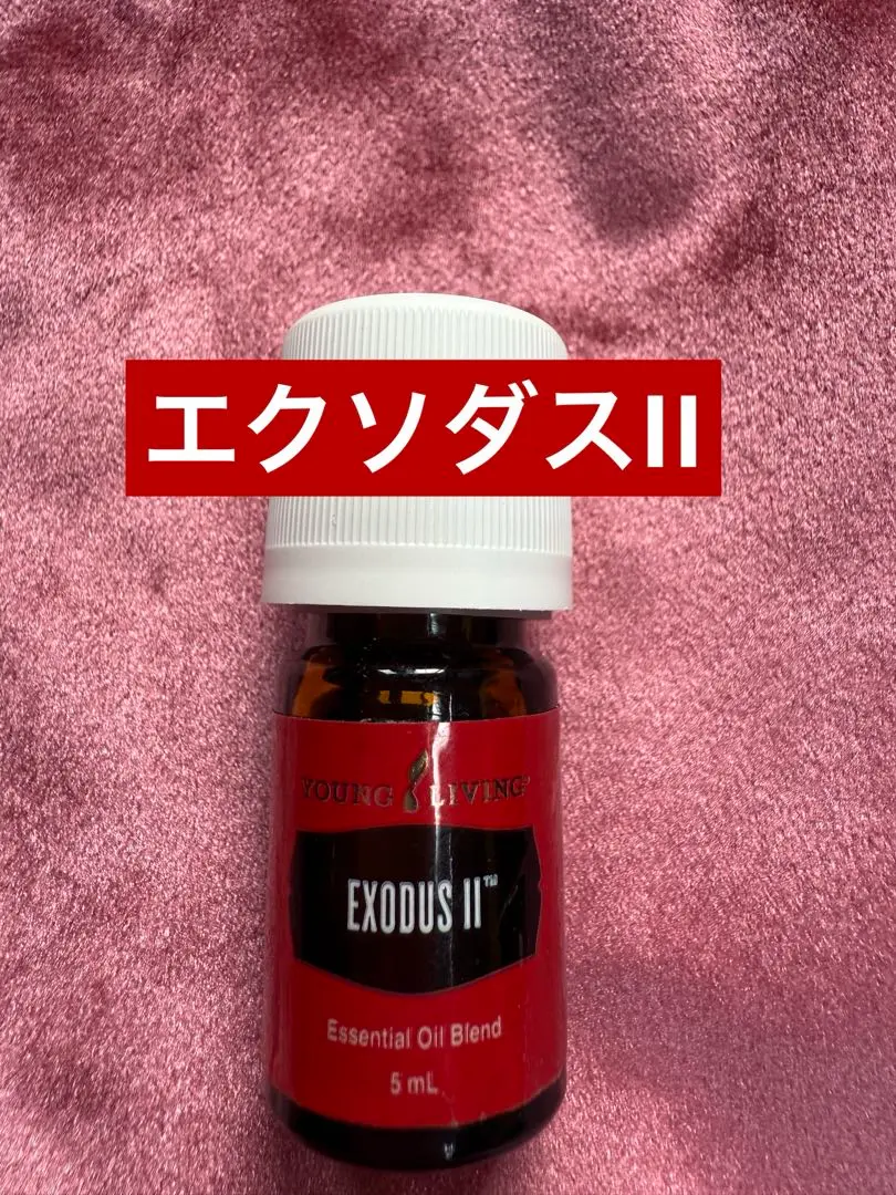 2026年最新】エクソダス ヤングの人気アイテム - メルカリ