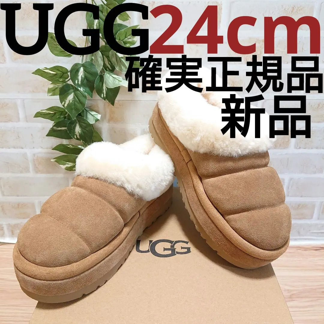 2026年最新】UGG アグ tazzlita chestnutの人気アイテム - メルカリ