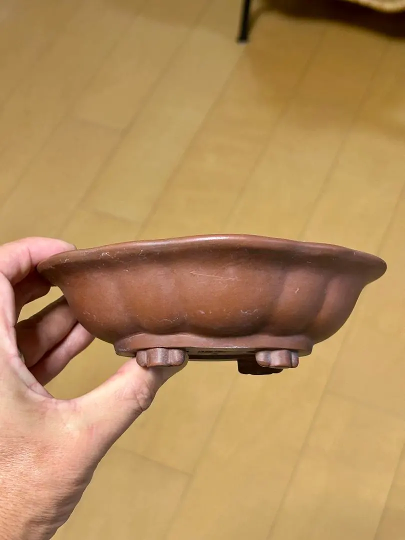 2026年最新】中国 植木鉢 朱泥の人気アイテム - メルカリ