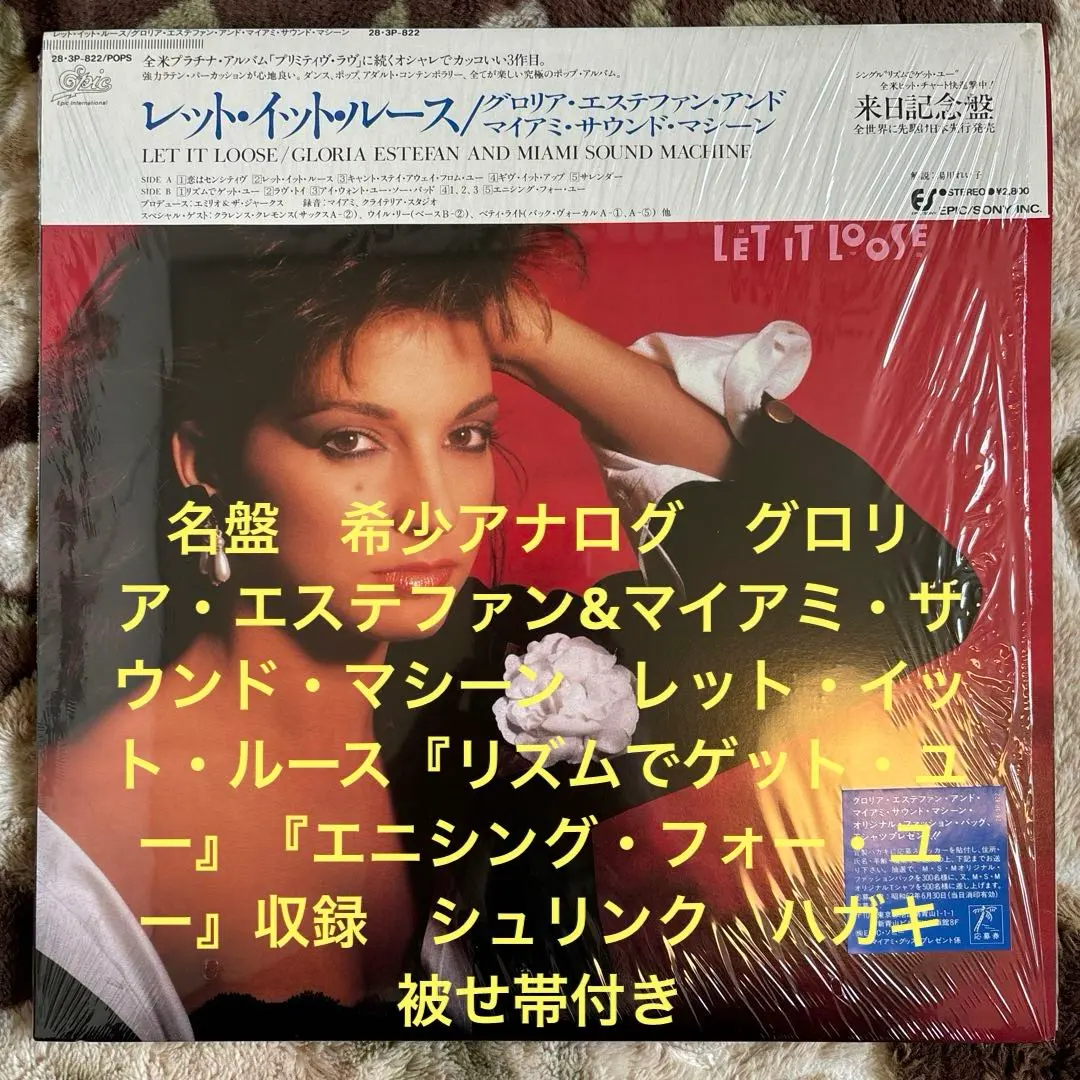 2026年最新】グロリア・エステファン_マイアミ・サウンド・マシーンの