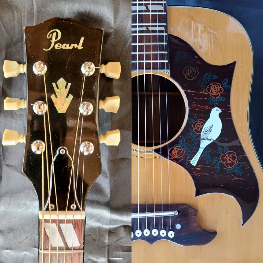 2026年最新】pearl ハミングバードの人気アイテム - メルカリ