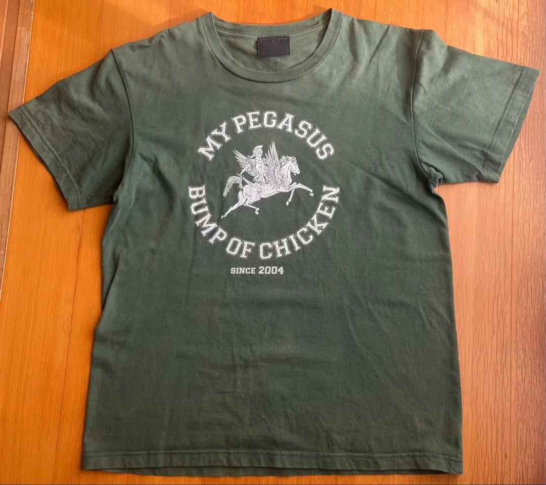2026年最新】バンプオブチキン pegasusの人気アイテム - メルカリ