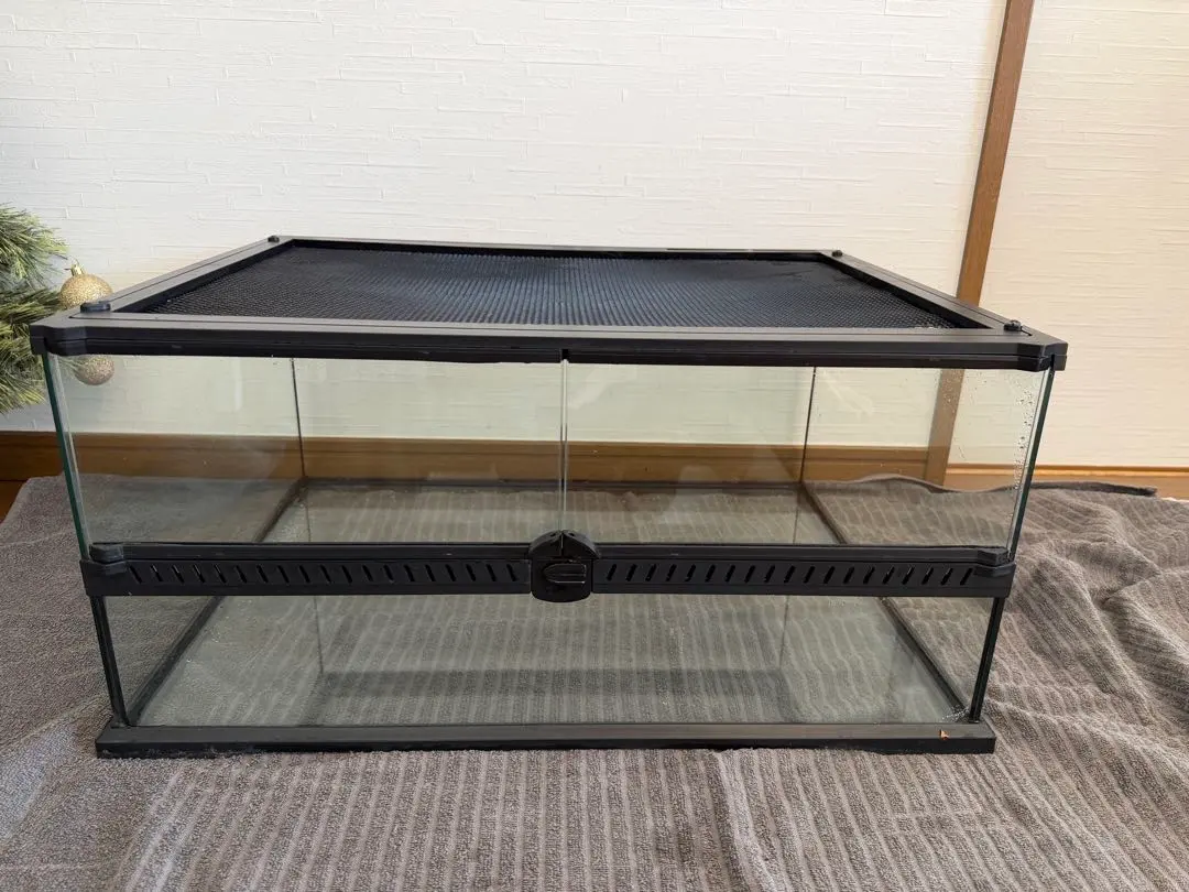 2026年最新】レインフォレストタンクの人気アイテム - メルカリ