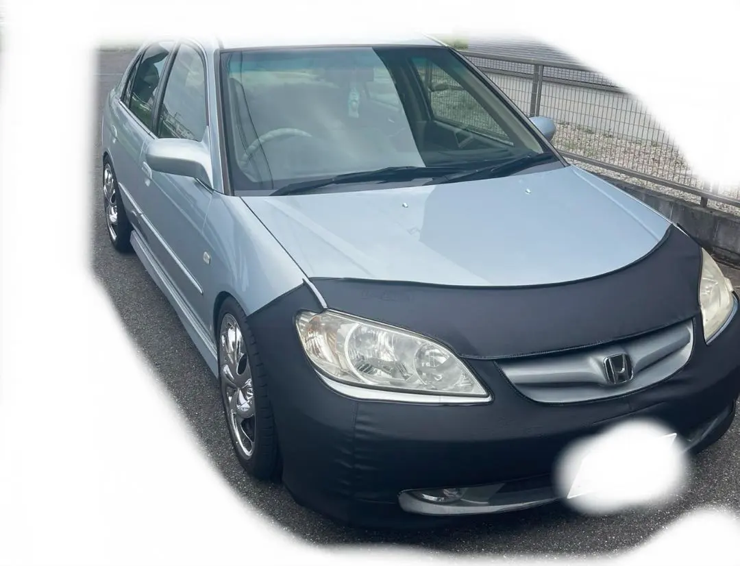 2026年最新】ノーズブラ usの人気アイテム - メルカリ