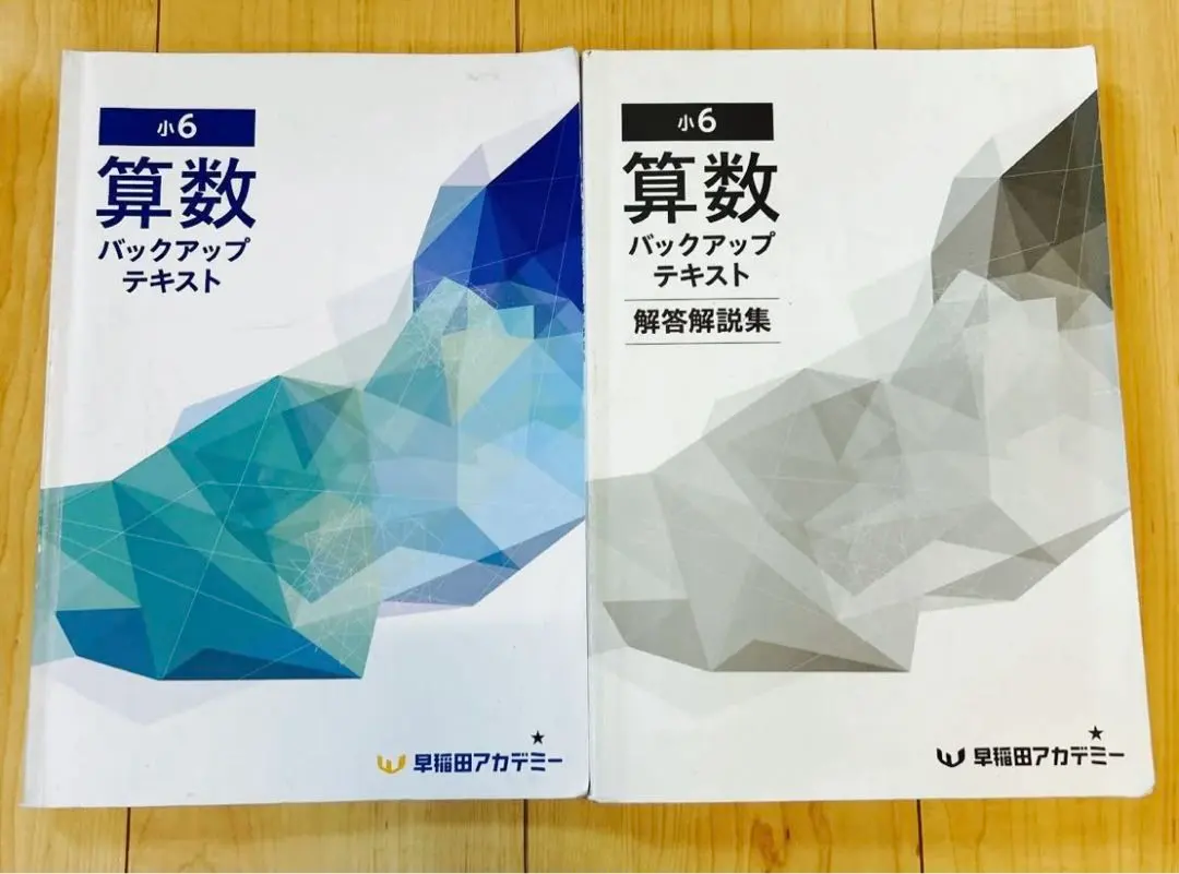 2026年最新】早稲田アカデミー 小6 バックアップテキストの人気