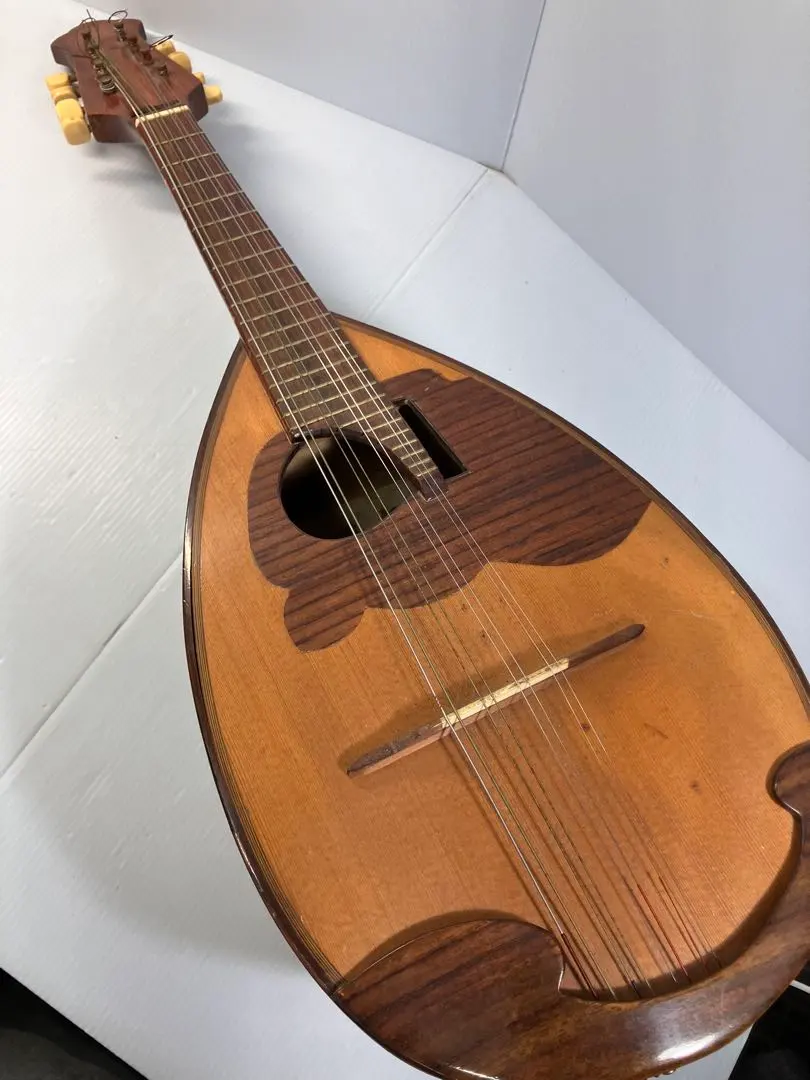 2026年最新】国島 マンドリンの人気アイテム - メルカリ