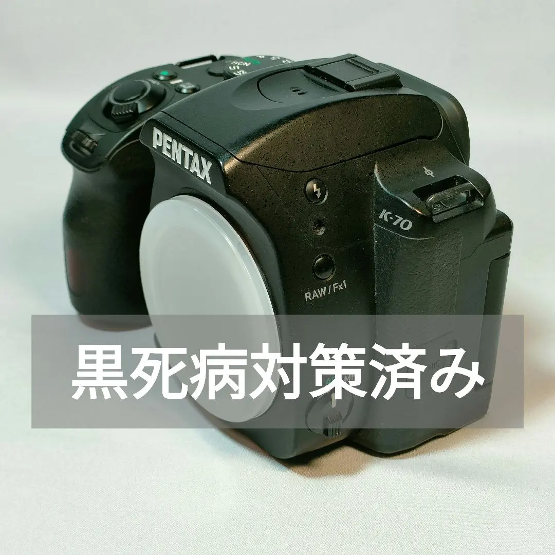 2026年最新】pentax k-70 黒死病の人気アイテム - メルカリ