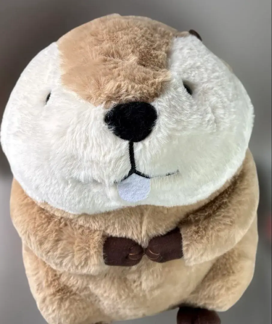 2026年最新】むっちりビーバーたっちウルトラBIGの人気アイテム - メルカリ