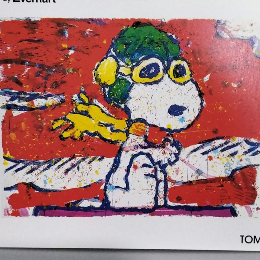 2026年最新】スヌーピー トムエバハートの人気アイテム - メルカリ